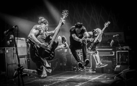 soiasilvy-e14229195558541